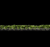 Balsan Take a Walk 240 Take a Walk фото 5 | FLOORDEALER