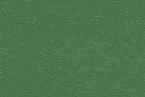 Линолеум Graboflex Start  Plus 4000-660-3 фото  | FLOORDEALER