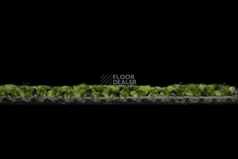 Balsan Take a Walk 240 Take a Walk фото 5 | FLOORDEALER