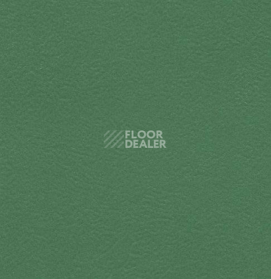 Линолеум Graboflex Start  Plus 4000-660-3 фото 1 | FLOORDEALER