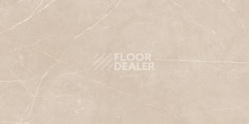 Nolana ( Нолана ) 60 x 120 x 10 NL01 фото 7 | FLOORDEALER