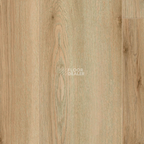 Ламинат Kronotex Exquisit Plus d80962 Дуб Эдерзее натуральный фото 1 | FLOORDEALER