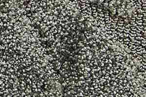 Ковролин Radici Glamour Nichel 1306 фото  | FLOORDEALER