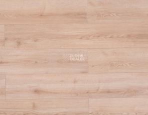 Rooms Suite 191 / 8мм Дуб Луксор платиновый RV821A фото 1 | FLOORDEALER