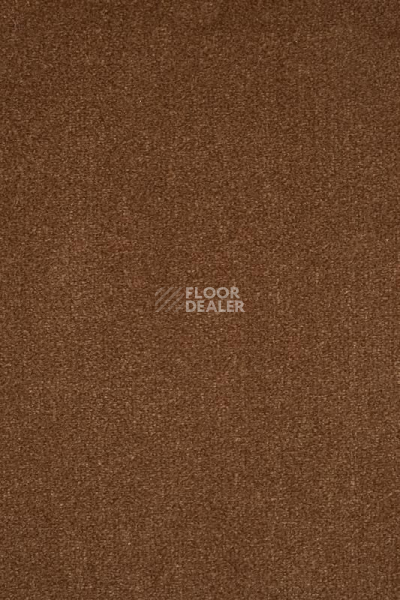 Ковролин AW Masquerade Moretta 84 фото 1 | FLOORDEALER