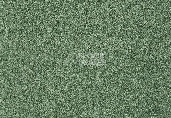 Ковролин Lano Lounge 611 Ivy 1 фото 1 | FLOORDEALER