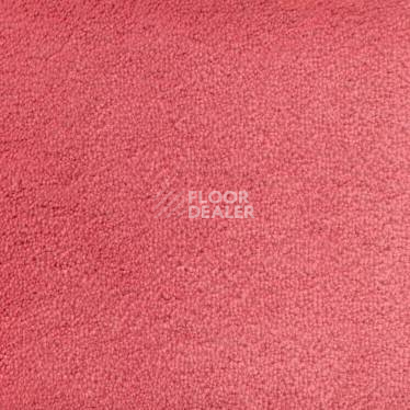 Ковролин Vorwerk Hermelin 1h81 фото 1 | FLOORDEALER