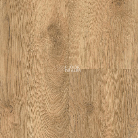 Wineo 700 Wood XXL V4 8мм LA224XXLV4 Дуб Финский Золотой фото 2 | FLOORDEALER