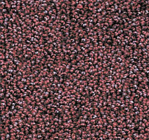 Ковролин AW Dakota 19 фото 1 | FLOORDEALER