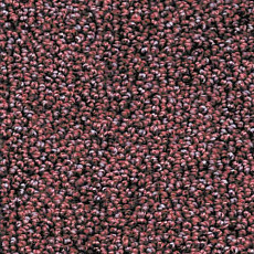 Ковролин AW Dakota 19 фото 1 | FLOORDEALER