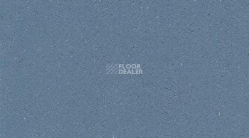Линолеум Tarasafe Standard 7438_Baleine фото 1 | FLOORDEALER