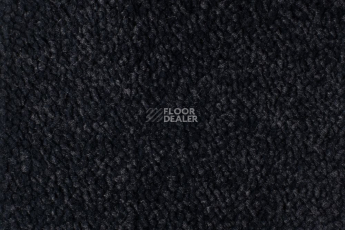 Ковролин Edel Vanity 199 фото 1 | FLOORDEALER