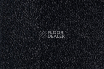 Ковролин Edel Vanity 199 фото 1 | FLOORDEALER