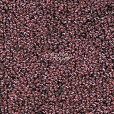 Ковролин AW Dakota 19 фото 1 | FLOORDEALER