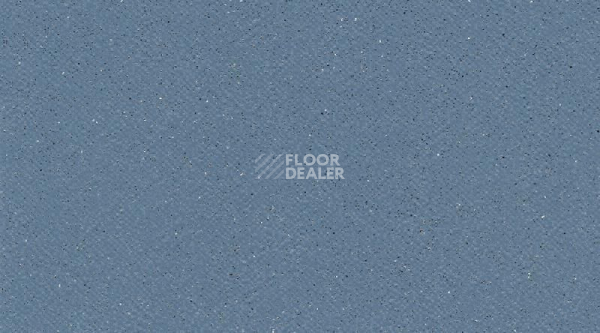 Линолеум Tarasafe Standard 7438_Baleine фото 1 | FLOORDEALER