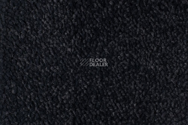 Ковролин Edel Vanity 199 фото 1 | FLOORDEALER