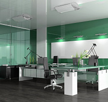 Kronotex Mega Plus d2869 Сения фото 2 | FLOORDEALER