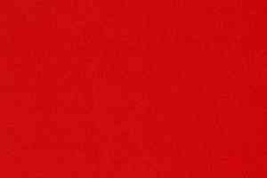 Ковролин Tapibel Casa 24889 фото  | FLOORDEALER