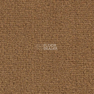 Ковролин Balsan Residentiel 685 фото 1 | FLOORDEALER