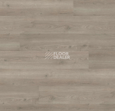 Ламинат Haro Tritty 100 Gran Via 4V Дуб Флавия Серый 544726 фото 1 | FLOORDEALER