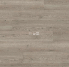 Haro Tritty 100 Gran Via 4V Дуб Флавия Серый 544726 фото 1 | FLOORDEALER