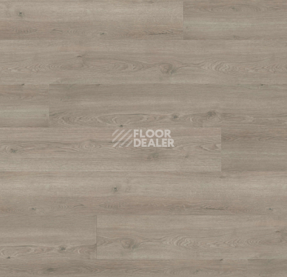 Ламинат Haro Tritty 100 Gran Via 4V Дуб Флавия Серый 544726 фото 1 | FLOORDEALER