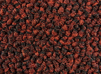 AW Maxima 12 фото 5 | FLOORDEALER