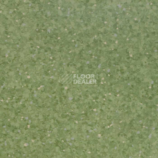 Линолеум Tarkett iQ Aria CARII-663 фото 1 | FLOORDEALER