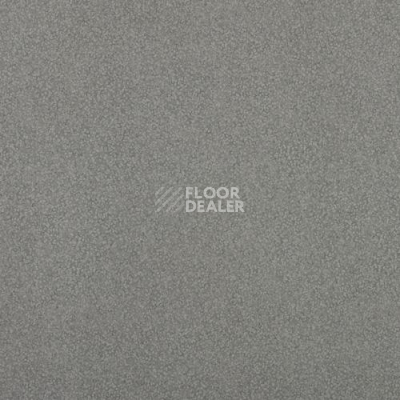 Линолеум Lg Comfort AC10110 фото 1 | FLOORDEALER