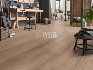 Kronotex Robusto 12мм d80622 Дуб норфолк бронзовый фото 2 | FLOORDEALER