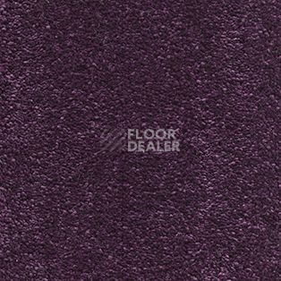 Ковролин AW Sophistication 17 фото 1 | FLOORDEALER