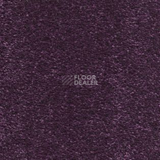 Ковролин AW Sophistication 17 фото 1 | FLOORDEALER