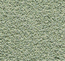 Ковролин Ideal Xanadu 224 фото 1 | FLOORDEALER