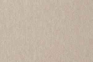 Ковролин Vorwerk Passion 1002 Vorwerk 8h89 фото  | FLOORDEALER