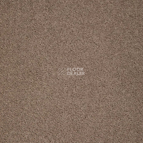 Haima Noble 99 фото 16 | FLOORDEALER