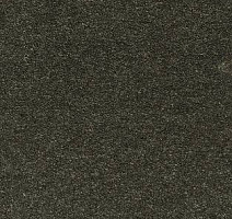 Ковролин AW Sauvage 24 фото 1 | FLOORDEALER