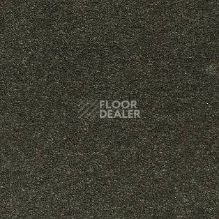 Ковролин AW Sauvage 24 фото 1 | FLOORDEALER