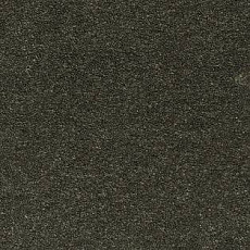 Ковролин AW Sauvage 24 фото 1 | FLOORDEALER