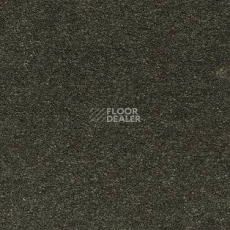 Ковролин AW Sauvage 24 фото 1 | FLOORDEALER