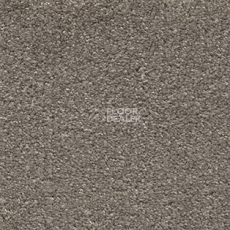 Ковролин AW Invictus Sirius 40 фото 1 | FLOORDEALER