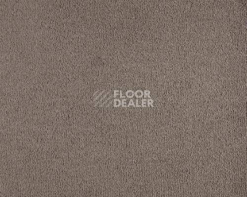 Ковролин Lano Celeste 280 Havanna фото 1 | FLOORDEALER