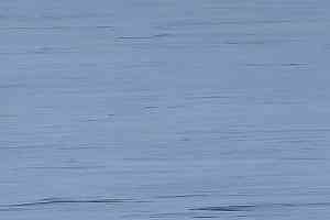 Линолеум Lino Fatra Garis 952 фото  | FLOORDEALER