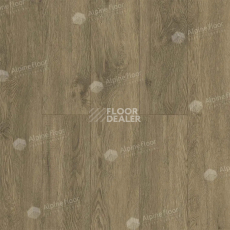 Кварцвиниловые полы Alpine Floor Grand Sequoia LVT 2.5мм Маслина ECO11-1102 фото 1 | FLOORDEALER