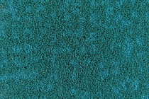 Flotex Colour s 246033 Metro Emerald фото 2 | FLOORDEALER