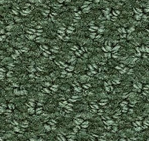 Ковролин Balsan Aquarelle Aquarelle 265 фото 1 | FLOORDEALER