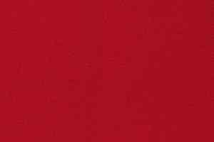 Ковролин Vorwerk Passion 1000/Modena Vorwerk 1b28 фото  | FLOORDEALER