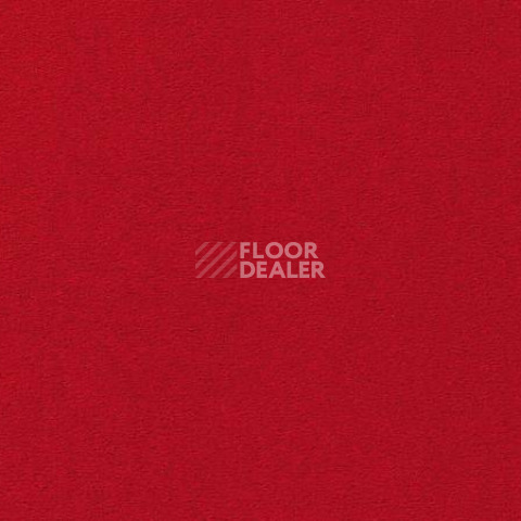 Ковролин Vorwerk Passion 1000/Modena Vorwerk 1b28 фото 1 | FLOORDEALER