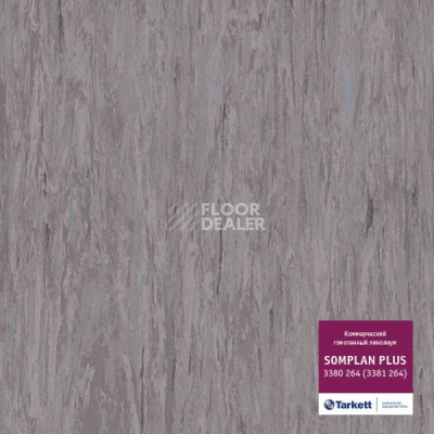 Линолеум Tarkett Somplan Plus 3380 264 (3381 264) фото 1 | FLOORDEALER