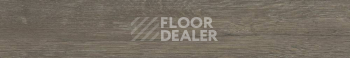 Керамогранит Jungla 19.5X120 Teca фото 1 | FLOORDEALER