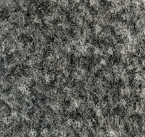 Forbo Coral Classic 4751 Silver Grey фото 2 | FLOORDEALER